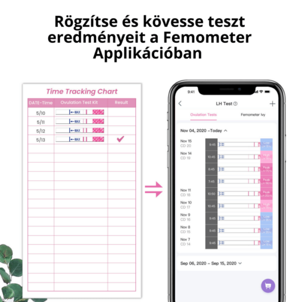 Femometer - HCG teszt, ovulációs teszt csomag