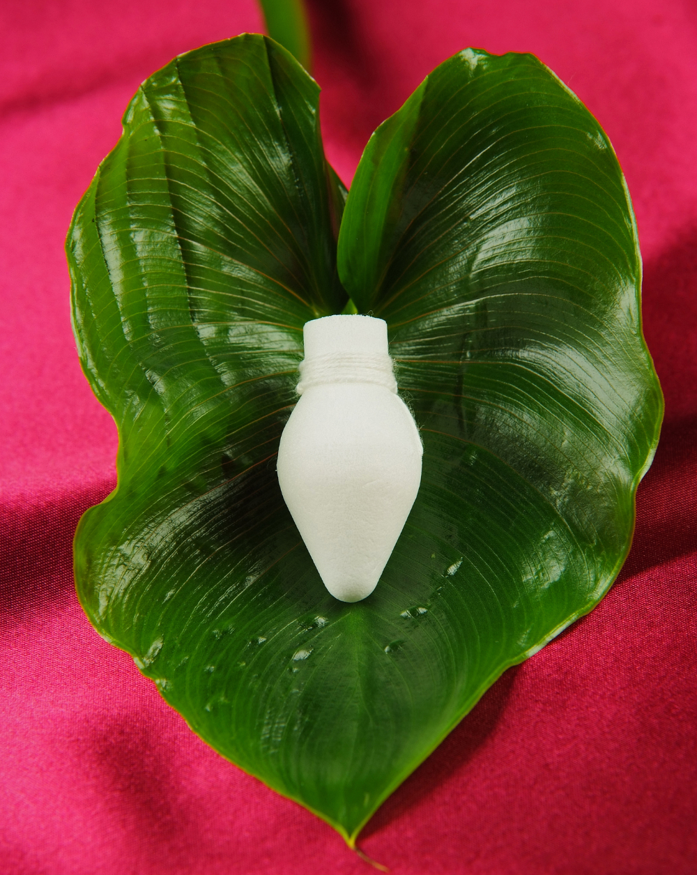 RECAcare Végbéltampon az önkéntelen székletürítés megakadályozására - Image 5