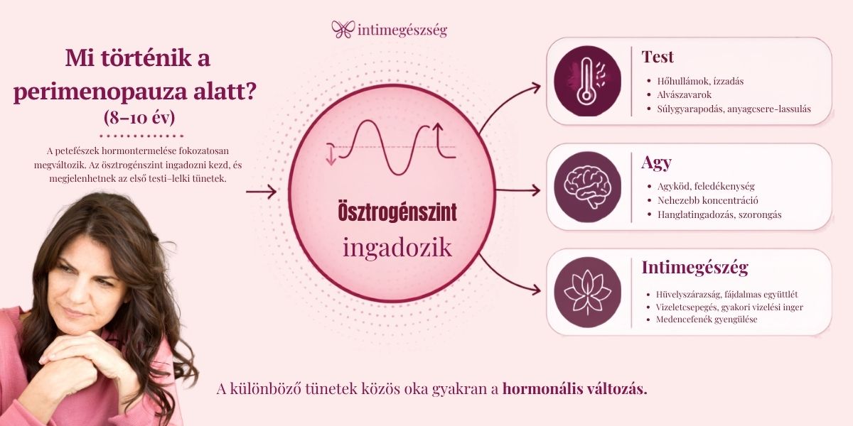 Mi történik a perimeopauza alatt?