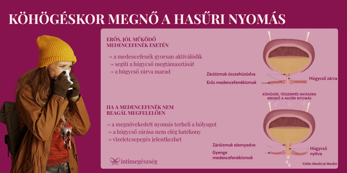 Köhögéskor a hasűri nyomás hirtelen megnő, ami a hólyagot és a medencefeneket is terheli